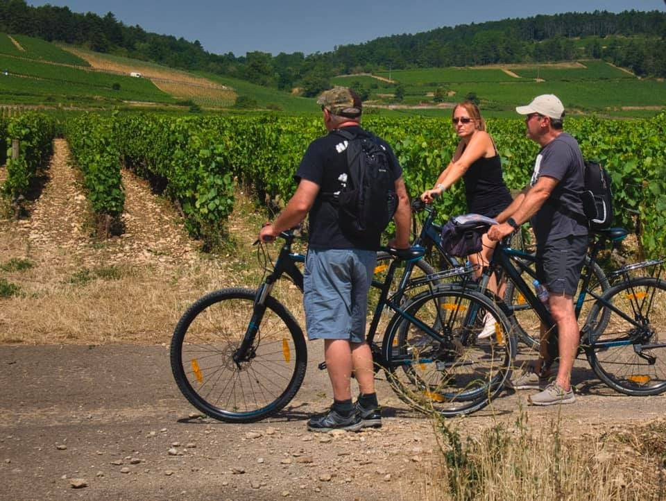 biking_vineyards.jpg